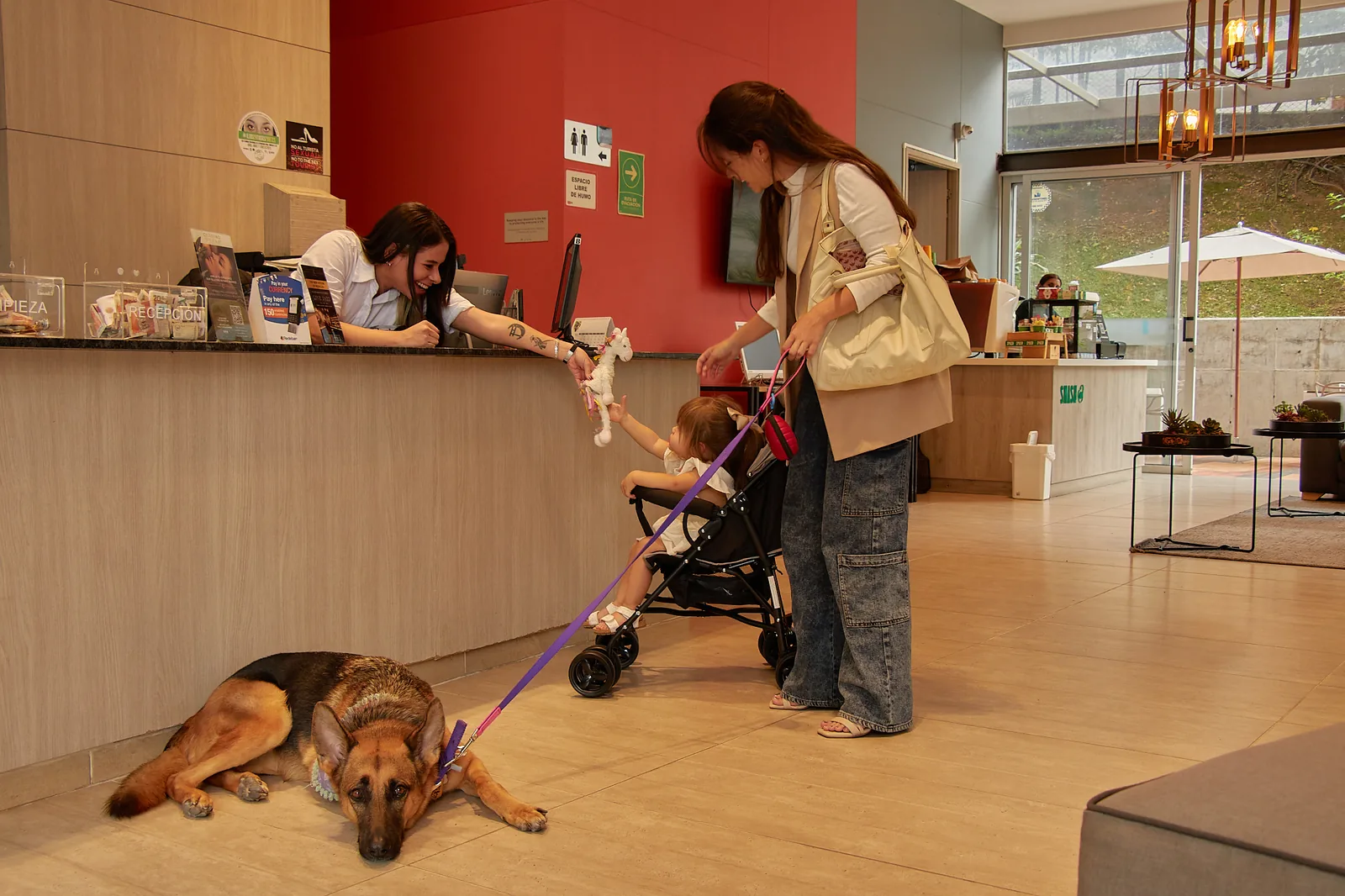 Dog at the reception of the pet friendly Soul Lifestyle Apartments, Medellín